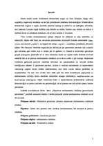 Referāts 'Nepareiza medikamentu lietošana', 3.