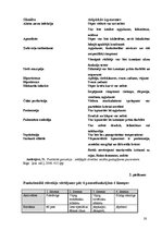 Referāts 'Nepareiza medikamentu lietošana', 28.