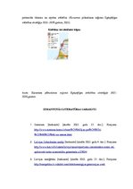 Referāts 'Attīstāmie virzieni Kurzemē no NACE klasifikatora', 13.