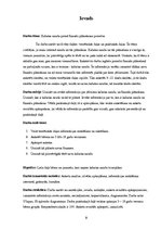 Referāts 'Kabatas nauda - pirmā finanšu plānošanas pieredze', 3.