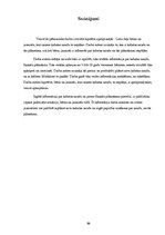 Referāts 'Kabatas nauda - pirmā finanšu plānošanas pieredze', 25.