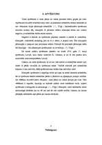 Konspekts 'Politiskie režīmi un to nomaiņas formas', 11.