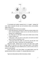 Eseja 'Cilvēka dzīves scenāriji. Scenāriju veidošanās kalendārs', 3.