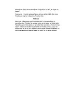 Eseja 'R. Blaumaņa lugas “Pazudušais dēls” literārā darba analīze', 2.