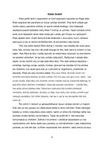 Referāts 'Grafiti. Kiwie zīmējumi', 6.