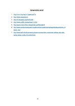 Referāts 'Grafiti. Kiwie zīmējumi', 10.