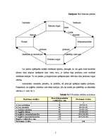 Referāts 'Iekšzemes kopprodukts', 5.