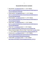 Referāts 'Komunikācija ar Dānijas kultūras pārstāvjiem', 7.