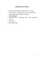 Referāts 'Darba vadīšana', 13.