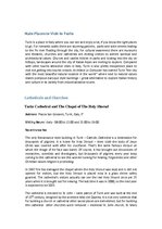 Konspekts 'Turin - Italy's Forgotten City', 8.