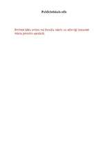 Konspekts 'Valodu stili latviešu valodā', 4.