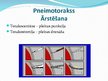 Prezentācija 'Plaušu traumas', 10.