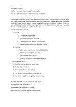 Konspekts 'Finanšu vadības būtība un loma uzņēmuma pārvaldībā', 1.