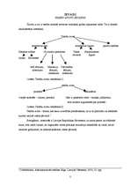 Referāts 'Administratīvo tiesību avoti', 3.
