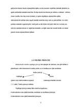 Referāts 'Administratīvo tiesību avoti', 6.