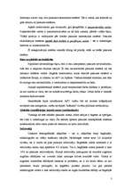 Referāts 'Globalizācija. Globālā stratifikācija. Iedzīvotāji. Vide', 3.