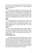 Referāts 'Globalizācija. Globālā stratifikācija. Iedzīvotāji. Vide', 4.