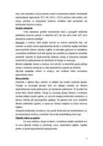 Referāts 'Globalizācija. Globālā stratifikācija. Iedzīvotāji. Vide', 7.