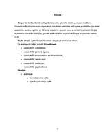 Referāts 'Eiropas Savienības integrācijas motīvi un vēsture', 3.