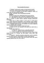 Konspekts 'Senā indiešu literatūra', 4.