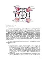 Diplomdarbs 'Azartspēles un korporatīvā sociālā atbildība', 35.