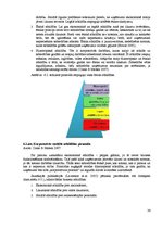 Diplomdarbs 'Azartspēles un korporatīvā sociālā atbildība', 36.