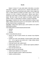 Referāts 'Uzņēmuma līguma raksturojums', 3.