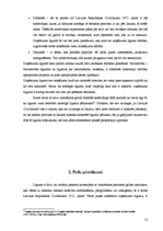 Referāts 'Uzņēmuma līguma raksturojums', 12.