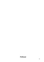 Referāts 'Uzņēmuma līguma raksturojums', 30.