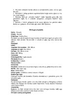 Referāts 'Biezpēdaiņi', 10.