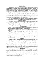 Referāts 'Biezpēdaiņi', 13.