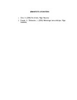 Referāts 'Zīmola teorētiskie aspekti', 7.