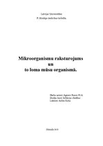 Konspekts 'Mikroorganismu raksturojums un to loma mūsu organismā', 1.