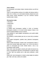 Konspekts 'Mikroorganismu raksturojums un to loma mūsu organismā', 4.