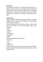 Konspekts 'Mikroorganismu raksturojums un to loma mūsu organismā', 6.