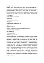 Konspekts 'Mikroorganismu raksturojums un to loma mūsu organismā', 8.