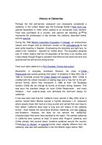 Eseja 'Cafeteria', 3.