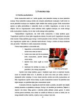 Referāts 'Nepareiza bāzes vingrinājumu izpilde ar brīvajiem svariem', 6.