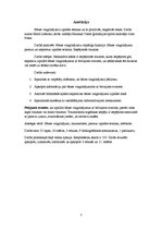 Referāts 'Nepareiza bāzes vingrinājumu izpilde ar brīvajiem svariem', 21.