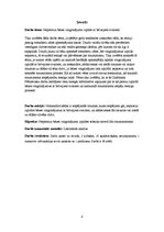 Referāts 'Nepareiza bāzes vingrinājumu izpilde ar brīvajiem svariem', 23.