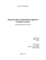 Referāts 'Nepareiza bāzes vingrinājumu izpilde ar brīvajiem svariem', 27.