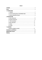 Referāts 'Nepareiza bāzes vingrinājumu izpilde ar brīvajiem svariem', 28.