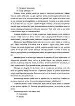 Referāts 'Reinženierings un tā pielietojums praksē', 5.