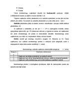 Referāts 'Reinženierings un tā pielietojums praksē', 6.