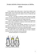 Eseja 'Divtaktu iekšdedzes dzinēju jaudas celšana', 6.