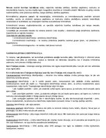 Konspekts 'Pirmstiesas kriminālprocesa problēmas', 7.