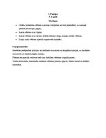 Referāts 'Mājas darbs rokdarbu metodikā - šūšanas mape', 2.