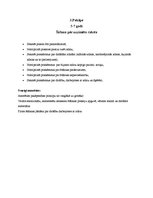 Referāts 'Mājas darbs rokdarbu metodikā - šūšanas mape', 4.