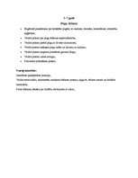 Referāts 'Mājas darbs rokdarbu metodikā - šūšanas mape', 5.