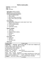 Paraugs 'Mācību stundu plāns 3.klase Latviešu valodā', 1.